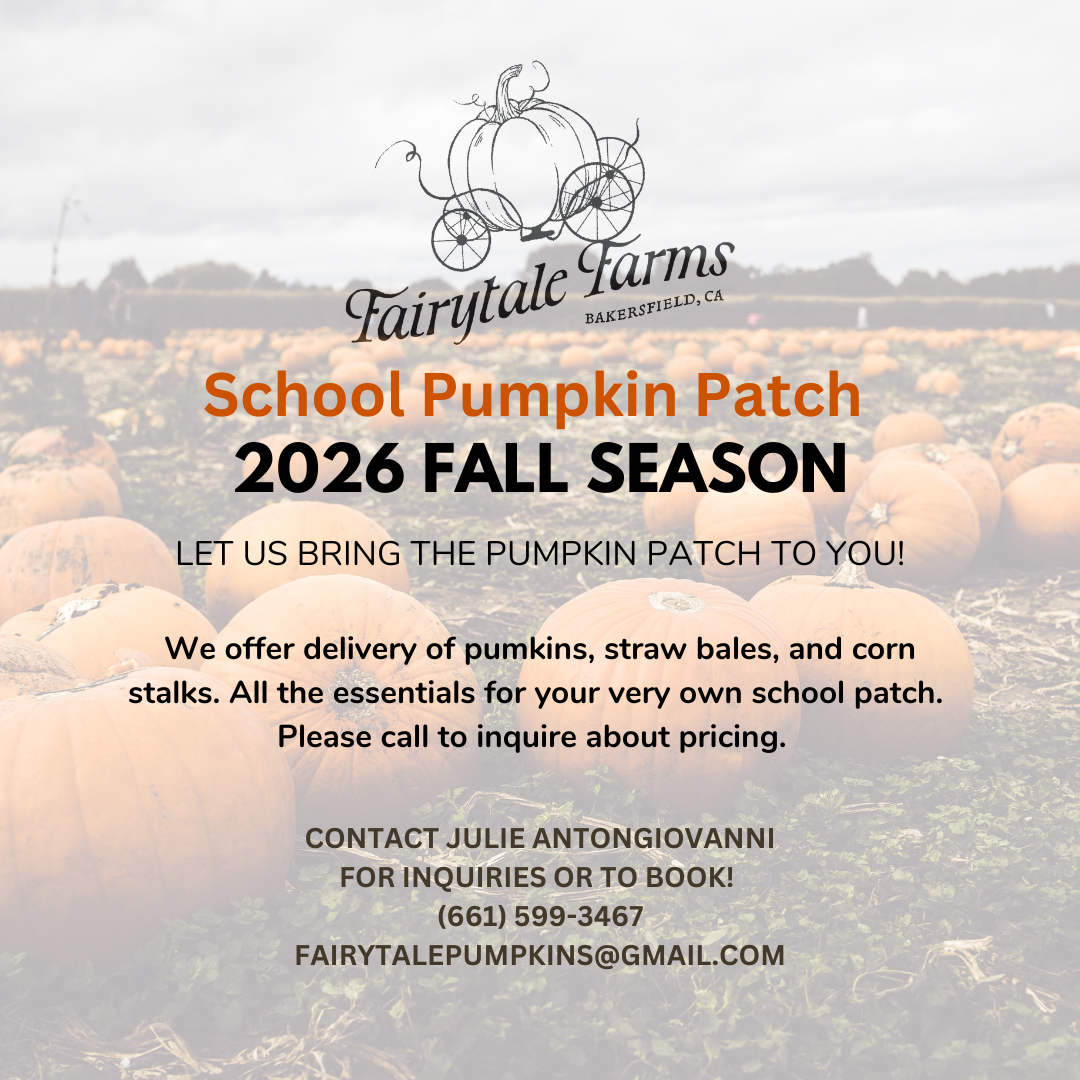 School patch flyer