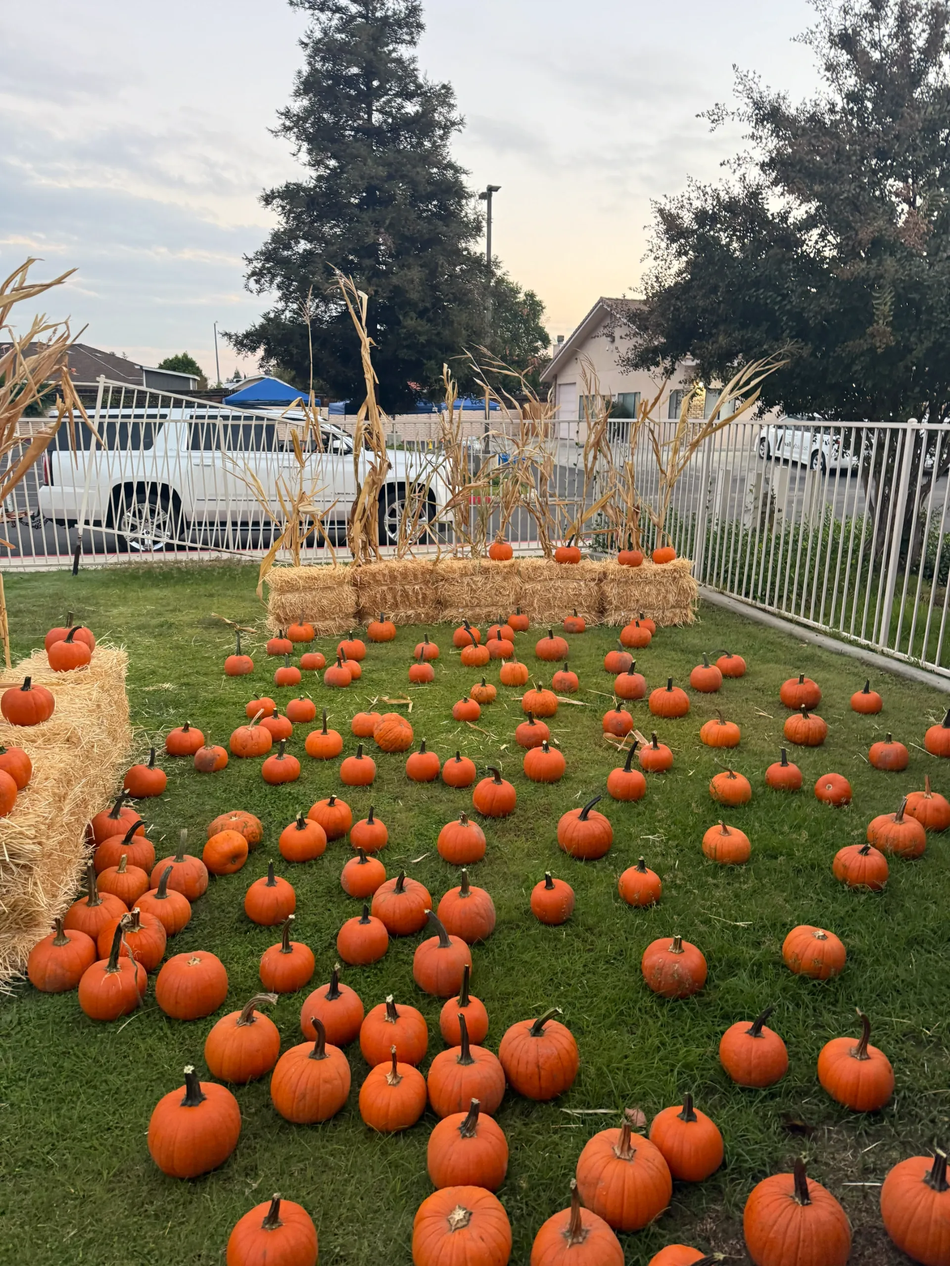 Fairytale Farms photo 10