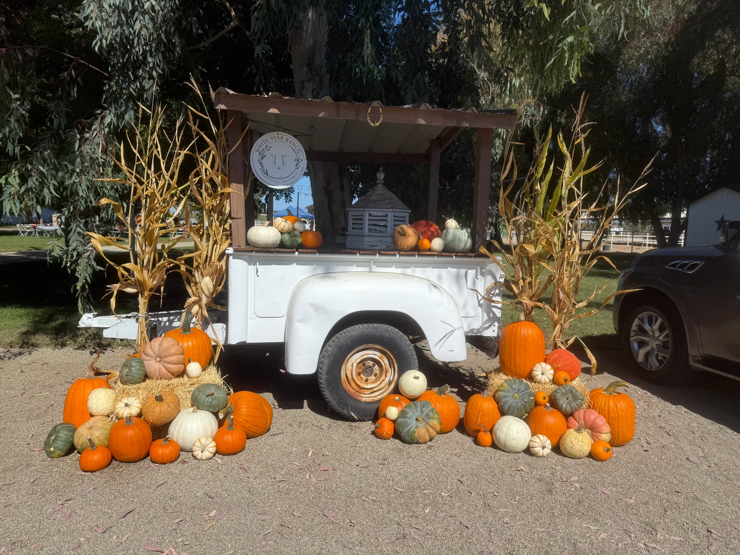 Fairytale Farms photo 15