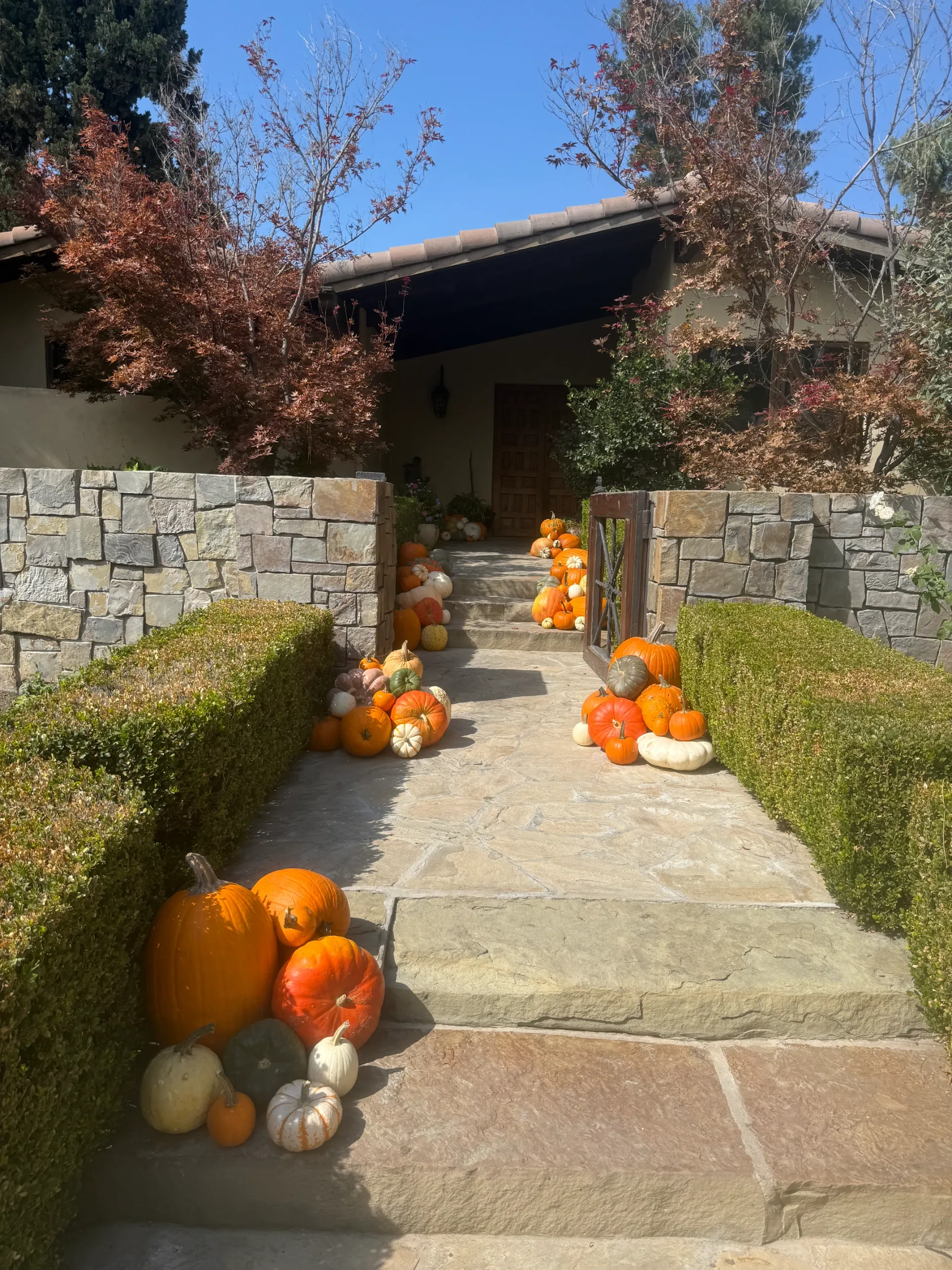 Fairytale Farms photo 18