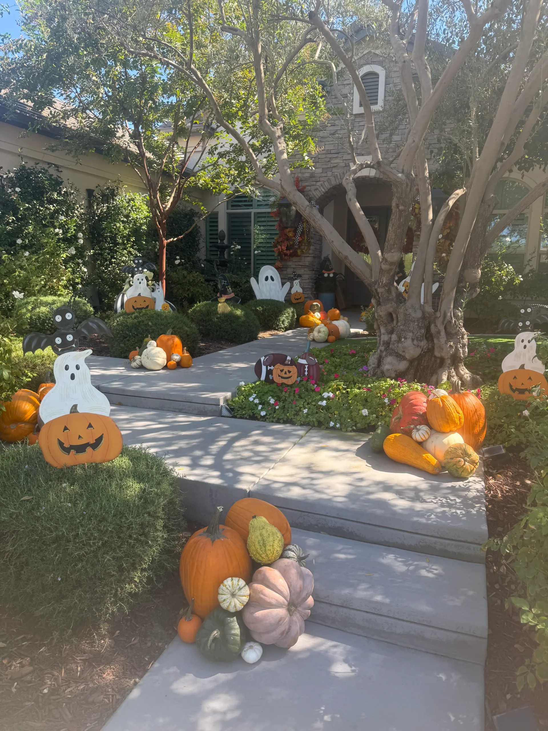 Fairytale Farms photo 24