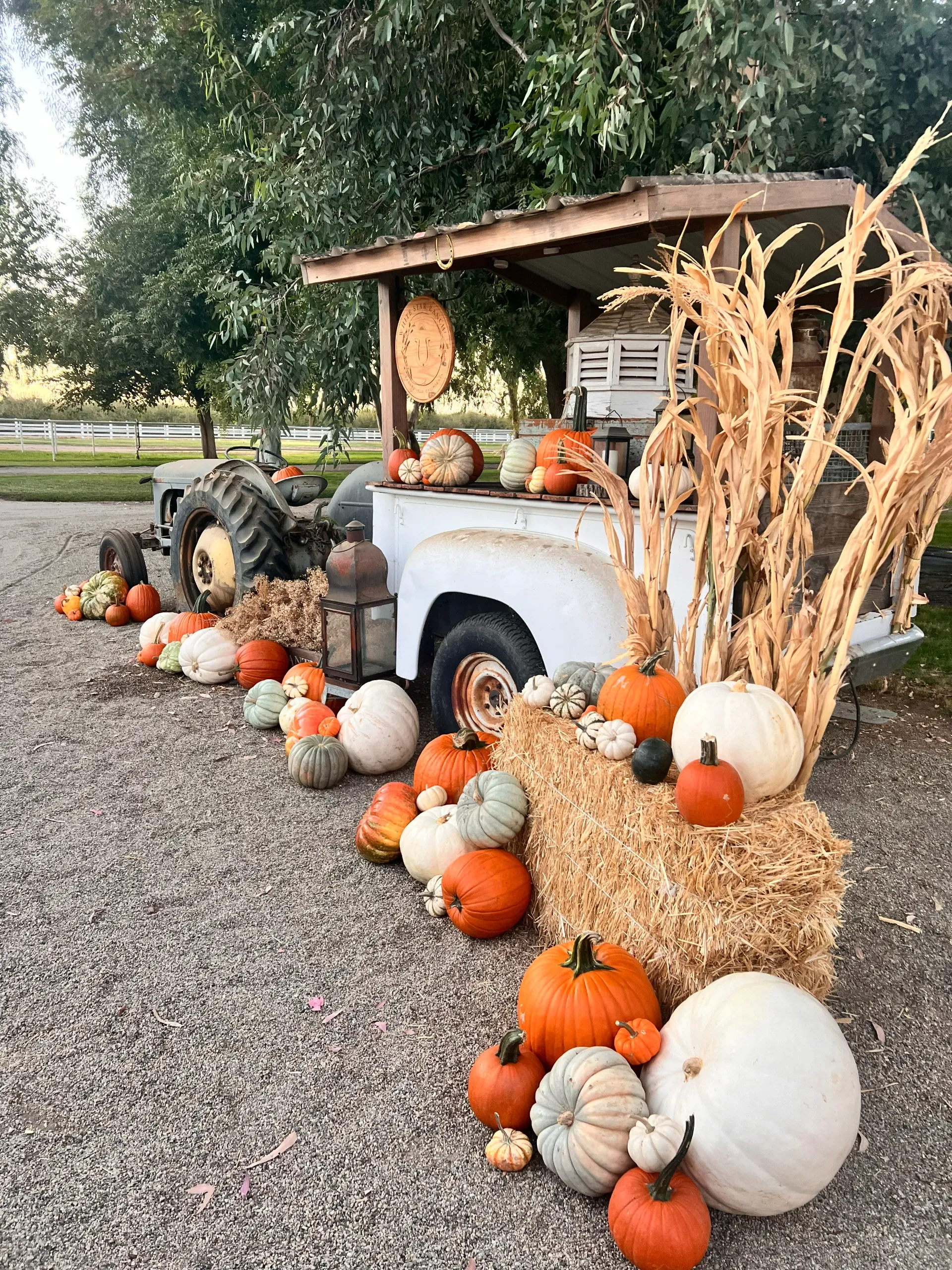 Fairytale Farms photo 13