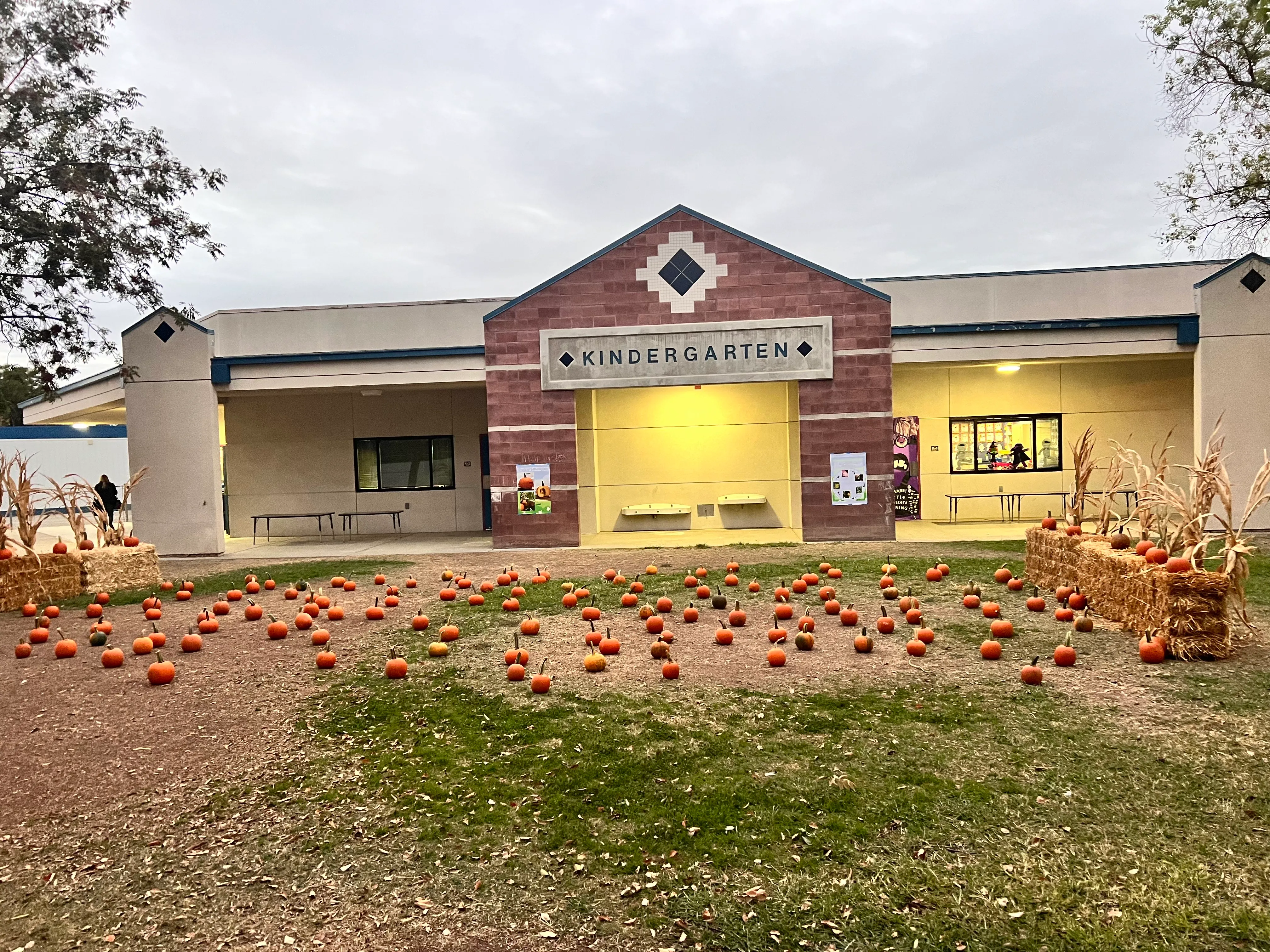 School pumpkin patch we set up